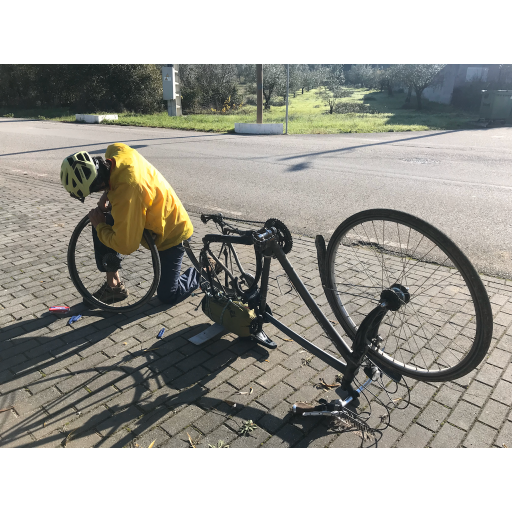 europe2019_web - 1659