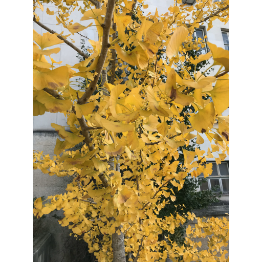 europe2019_web - 1677