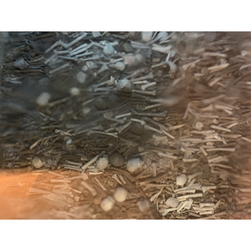 europe2019_web - 1697