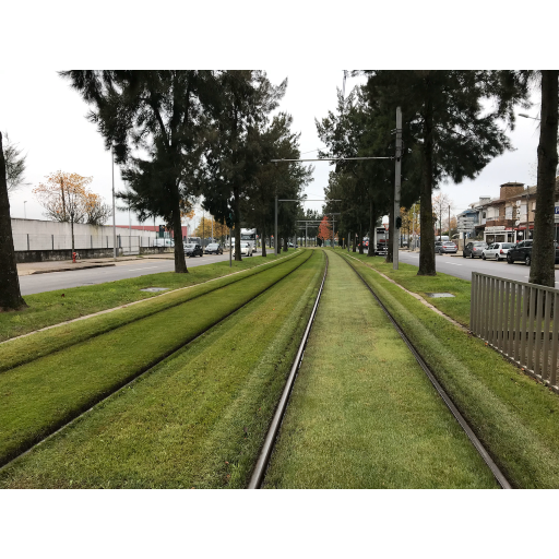 europe2019_web - 1703