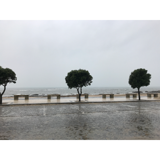 europe2019_web - 1705