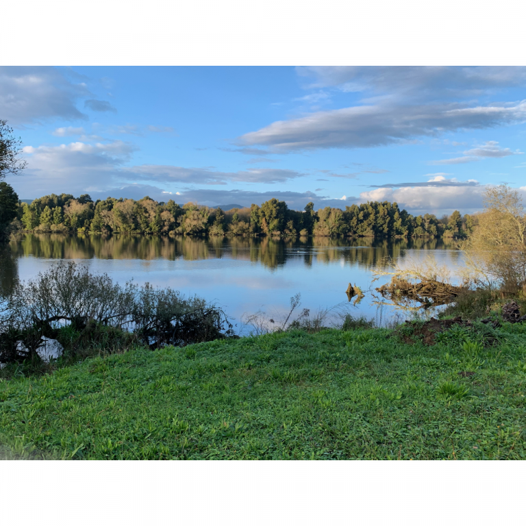 europe2019_web - 1717