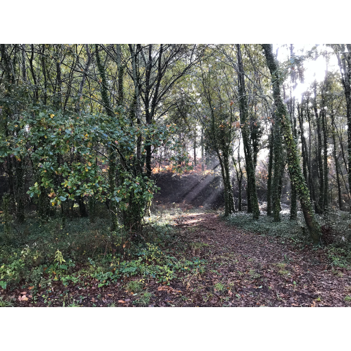 europe2019_web - 1721