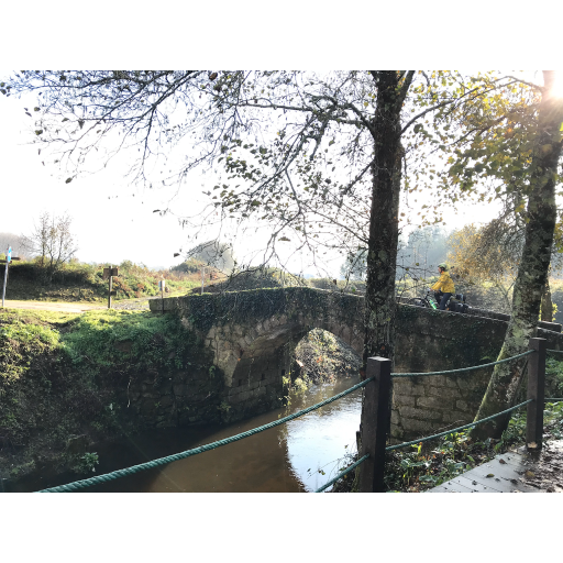 europe2019_web - 1722