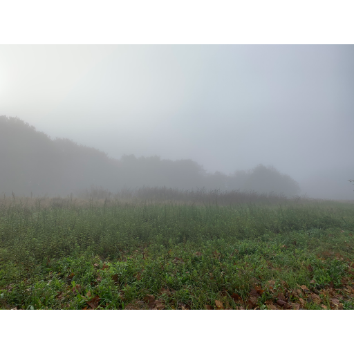 europe2019_web - 1727