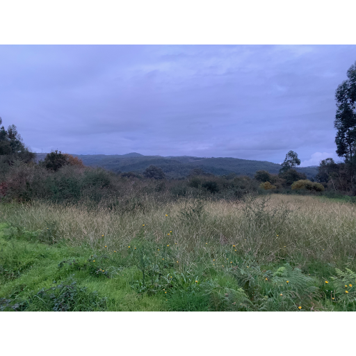 europe2019_web - 1737