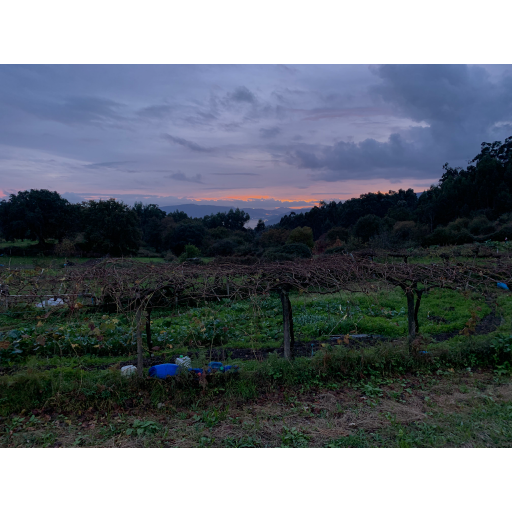 europe2019_web - 1738