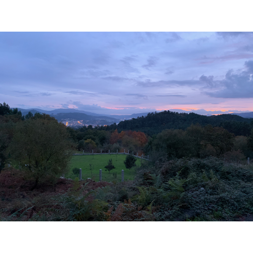 europe2019_web - 1739