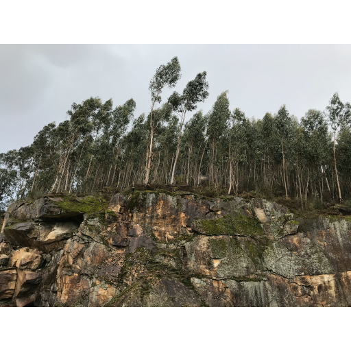 europe2019_web - 1741