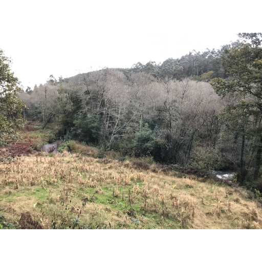 europe2019_web - 1743