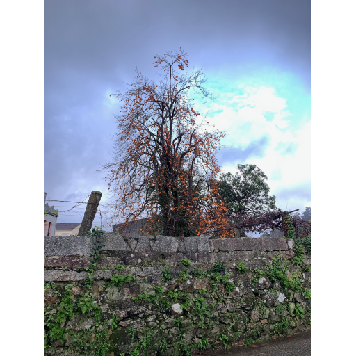 europe2019_web - 1747