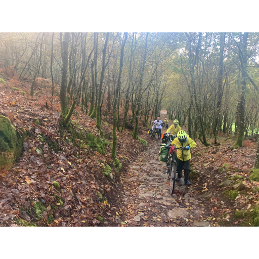 europe2019_web - 1753