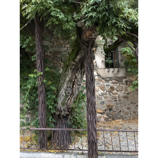 europe2019_web - 1772