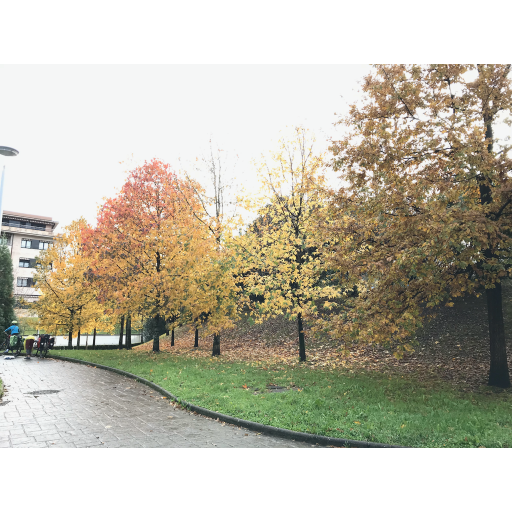 europe2019_web - 1800