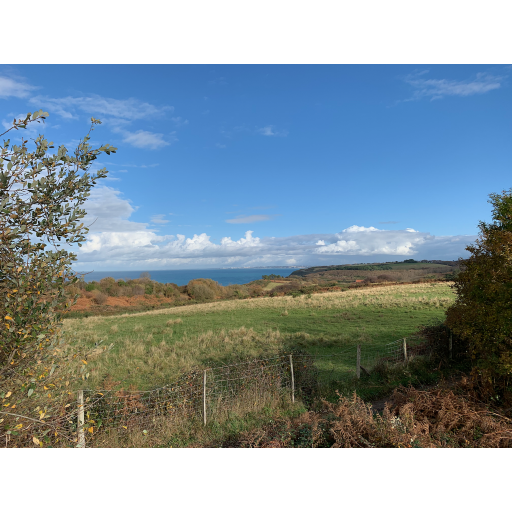 europe2019_web - 1805