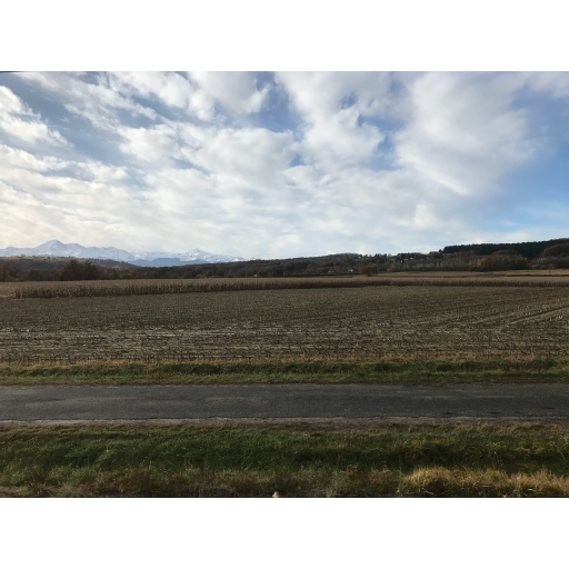 europe2019_web - 1815