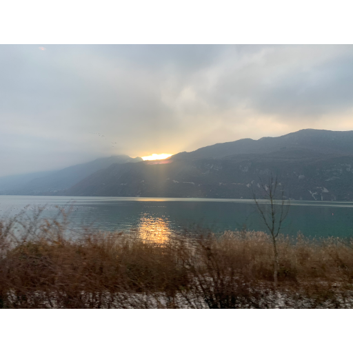 europe2019_web - 1840