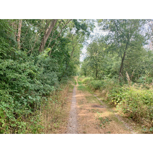 europe2019_web - 192