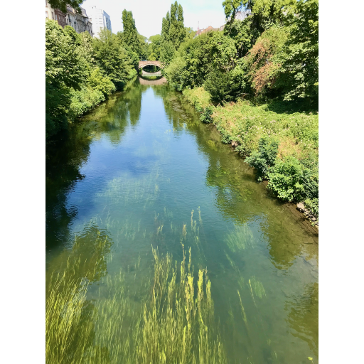 europe2019_web - 221