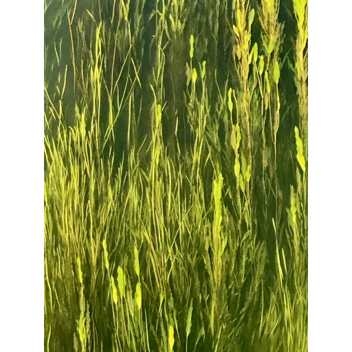 europe2019_web - 222