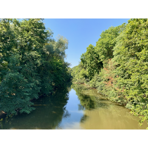 europe2019_web - 229