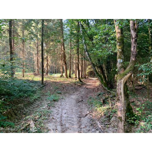 europe2019_web - 234