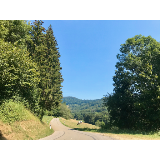 europe2019_web - 255