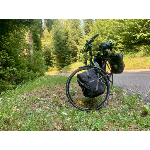 europe2019_web - 256