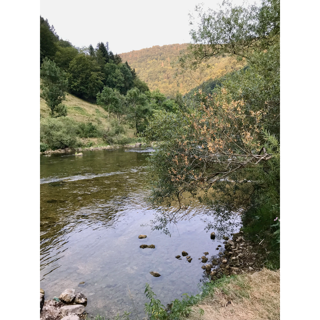 europe2019_web - 260