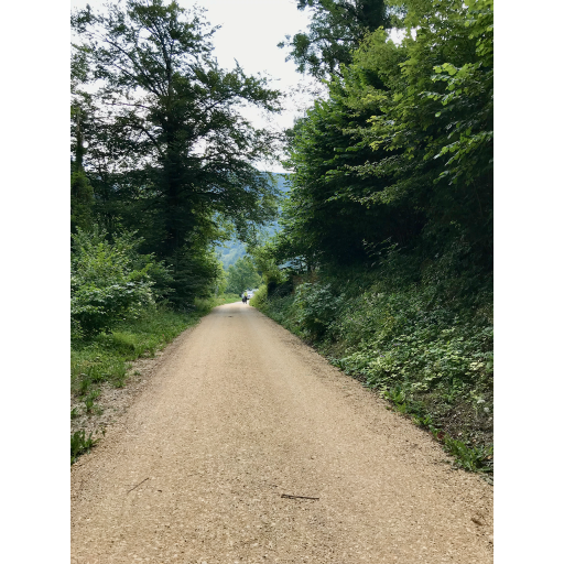 europe2019_web - 263