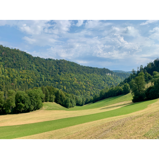 europe2019_web - 264