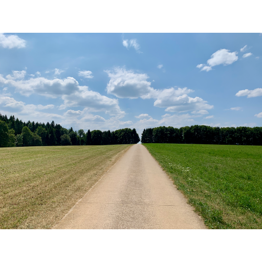 europe2019_web - 273