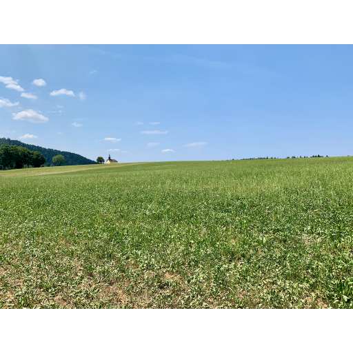 europe2019_web - 274