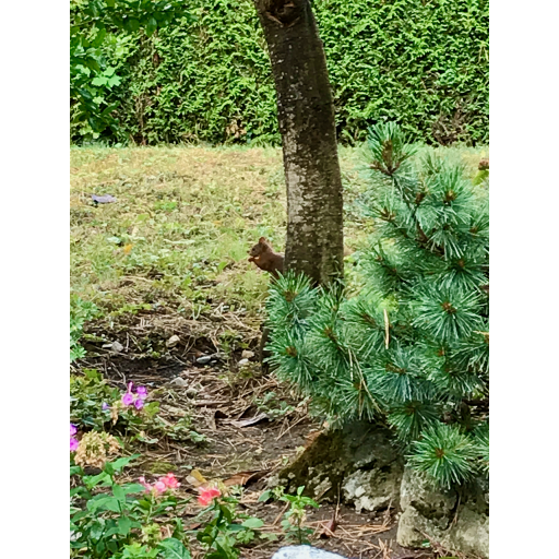 europe2019_web - 286