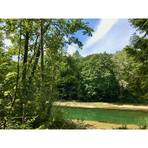 europe2019_web - 323