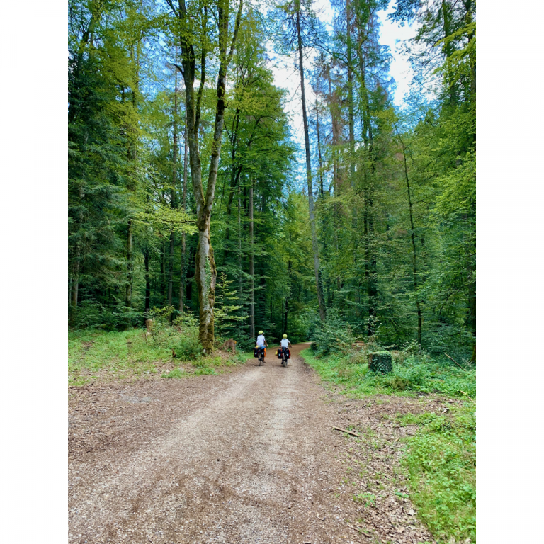 europe2019_web - 335