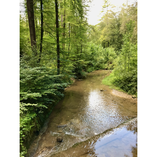 europe2019_web - 336