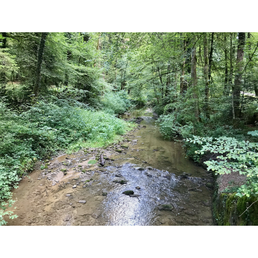 europe2019_web - 337