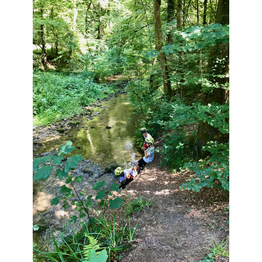 europe2019_web - 338