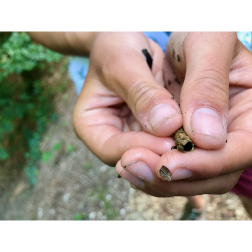 europe2019_web - 339