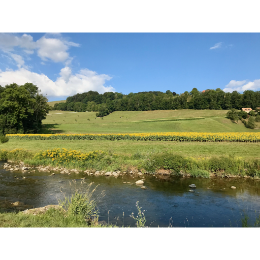 europe2019_web - 341