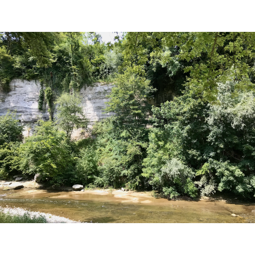 europe2019_web - 342