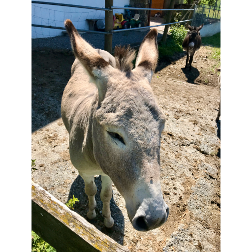 europe2019_web - 349