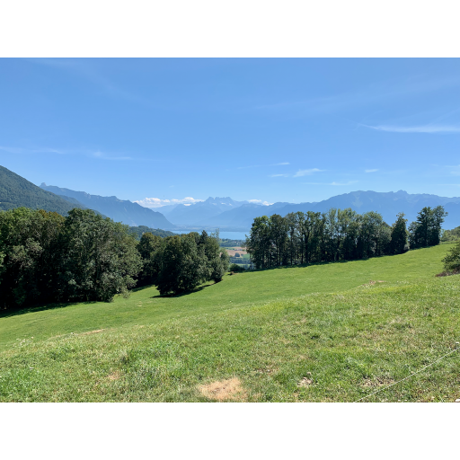 europe2019_web - 351