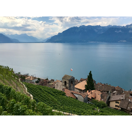 europe2019_web - 357