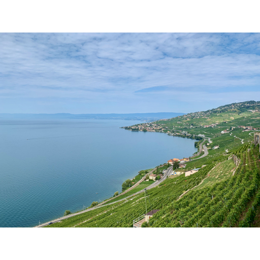 europe2019_web - 358