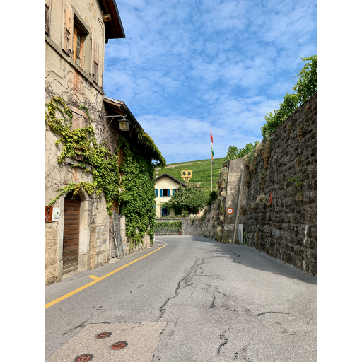 europe2019_web - 359