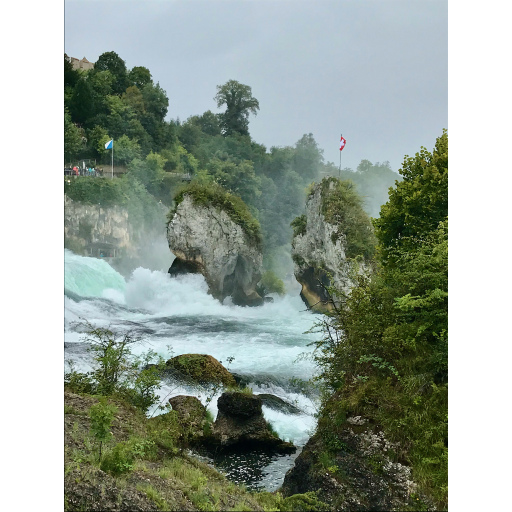 europe2019_web - 389