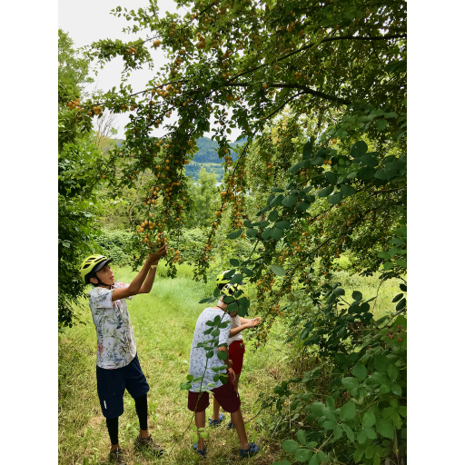 europe2019_web - 400