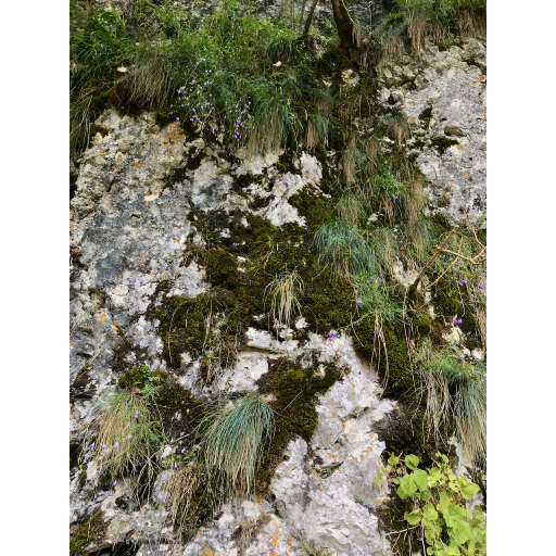 europe2019_web - 412